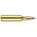 NOSLER 300WSM 180GR AB 20/200