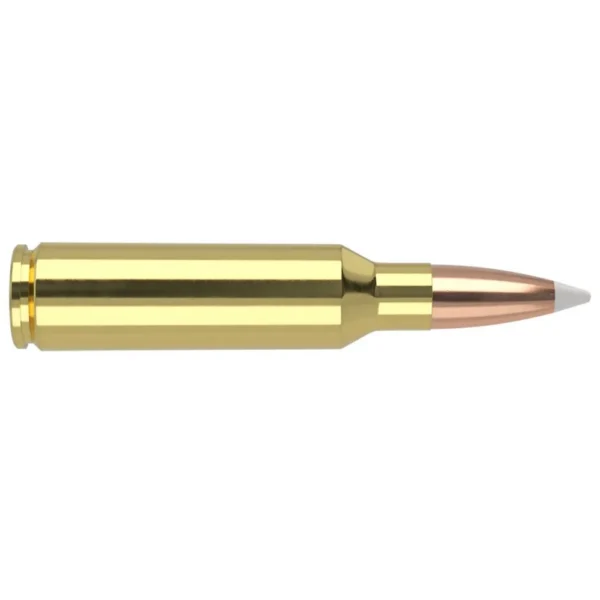 NOSLER 300WSM 180GR AB 20/200