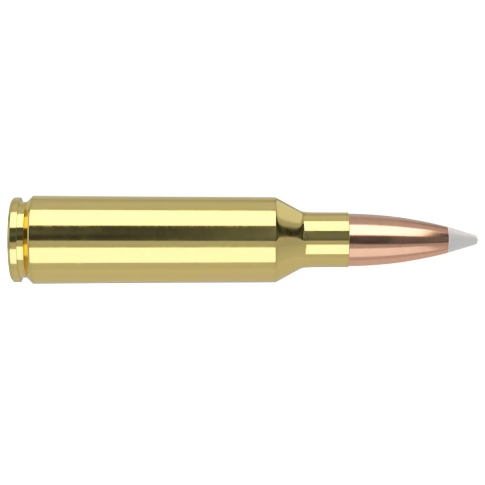 primary-53104 NOSLER 300WSM, brass cartridge side view with copper-colored pointed bullet