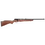 Savage Arms SAV 93 G rifle, right side view with brown wood stock and black barrel