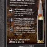 Winchester Ammunition Ballistic Silvertip, black box shown from the back and right side