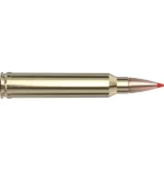 Hornady HRNDY AWT 300WIN 165GR SST 20/200