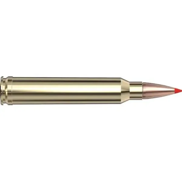 Hornady HRNDY AWT 300WIN 165GR SST 20/200