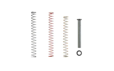 True Precision TRUE PREC RECOIL SPRNG KIT P365 3.1"