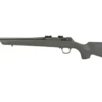 CVA CASCADE 22LR 18" TB 10RD GRAY