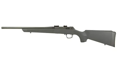 primary-5651 CVA CASCADE 22LR 18" TB 10RD GRAY