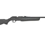 DAISY POWERLINE MODEL 901 RFL black rifle with long barrel, right-side view