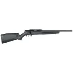 Savage Arms SAV B22 MAG FV-SR black rifle, right-side view with synthetic stock and top rail