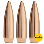 Sierra MatchKing Rifle Bullets, front view of three pointed copper-colored bullets