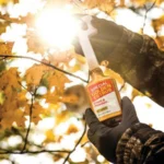 Wildlife Research Special Golden Estrus bottle held by a gloved hand in autumn woods