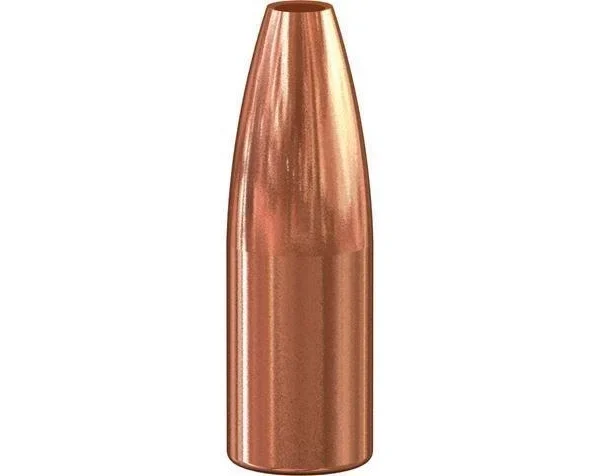 Speer Varmint Hollow Point Rifle Bullets Value Pack, single copper-colored bullet upright