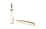 Winchester Ammunition Winchester Expedition Big Game Long Range Rifle Ammunition .300 Win Mag Expedition 190gr. AB 2900 fps