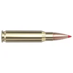 Hornady HRNDY SF 308WIN 165GR CX 20/200