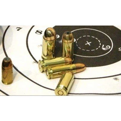 TRZ Trading Inc. PPU Handgun Ammunition .38 Spl 158 gr SWC 902 fps 50/ct