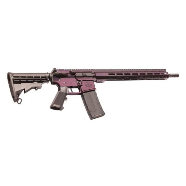 10 Ring GLFA AR-15 Rifle .223 Wylde 30rd Magazine 16" Barrel Galaxy Hunter with 15.25" Handguard