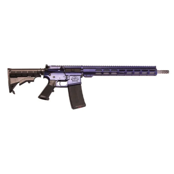10 Ring GLFA AR-15 Rifle .223 Wylde 30rd Magazine 16" Barrel Galaxy Mystique with 15.25" Handguard
