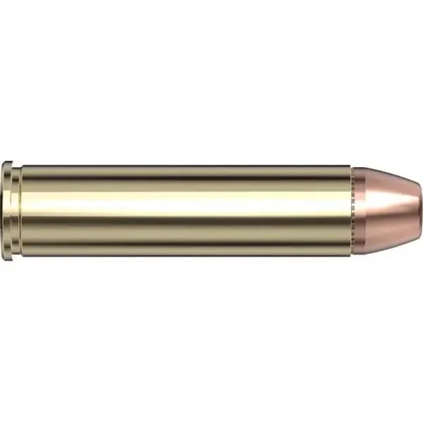 Hornady HRNDY BACKC 460 S&W 300GR DGH 20/200
