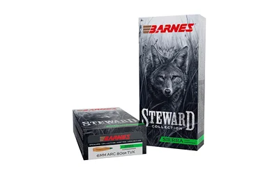 BARNES STWRD 6MM ARC 80GR TVK 20/200