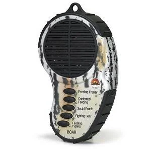Electronic Game Calls