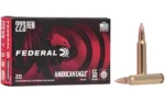Federal Cartridge Co. Federal American Eagle Rifle Ammunition .223 Rem 55 gr FMJBT 3240 fps 20/rd - alternate view 2