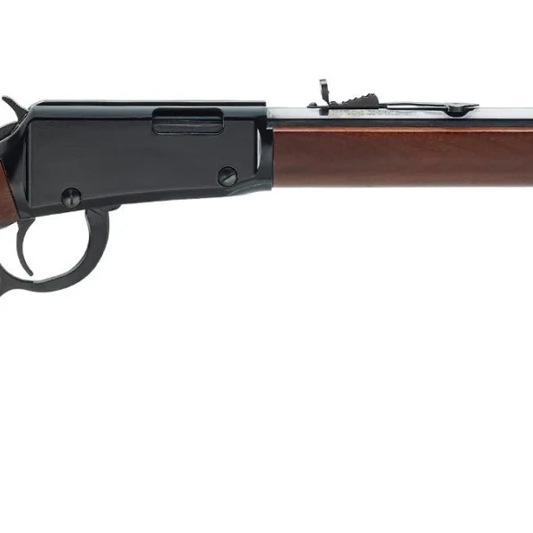 Henry Repeating Arms Company HENRY LEVER ACTION .17HMR FRONTIER VARMINT OCTAGON 20'