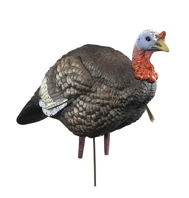 Turkey Decoys