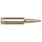 Hornady HRNDY SF 22CM 65GR CX 20/200