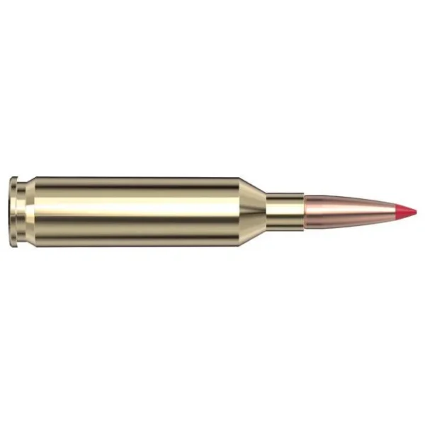 Hornady HRNDY SF 22CM 65GR CX 20/200