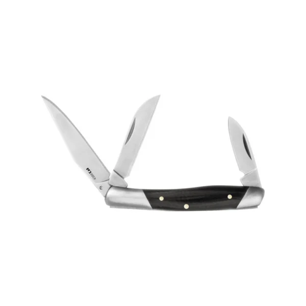 Kershaw Iredale Folding Pocketknife 2 3/5" Clip Point Blade Black