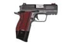 Kimber America KIMBER CDS9 9MM OR RL 15RD GRY/BLK - alternate view 2