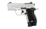 Kimber America KIMBER CDS9 9MM 15RD 3.18" OR SLV