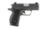 Kimber America KIMBER CDS9 CLASSIC 9MM 15RD GRY - alternate view 2