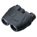 Leupold & Stevens Inc. Leupold BX-1 Rogue Compact Binocular - 8x25mm Inverted Porro Prism Black