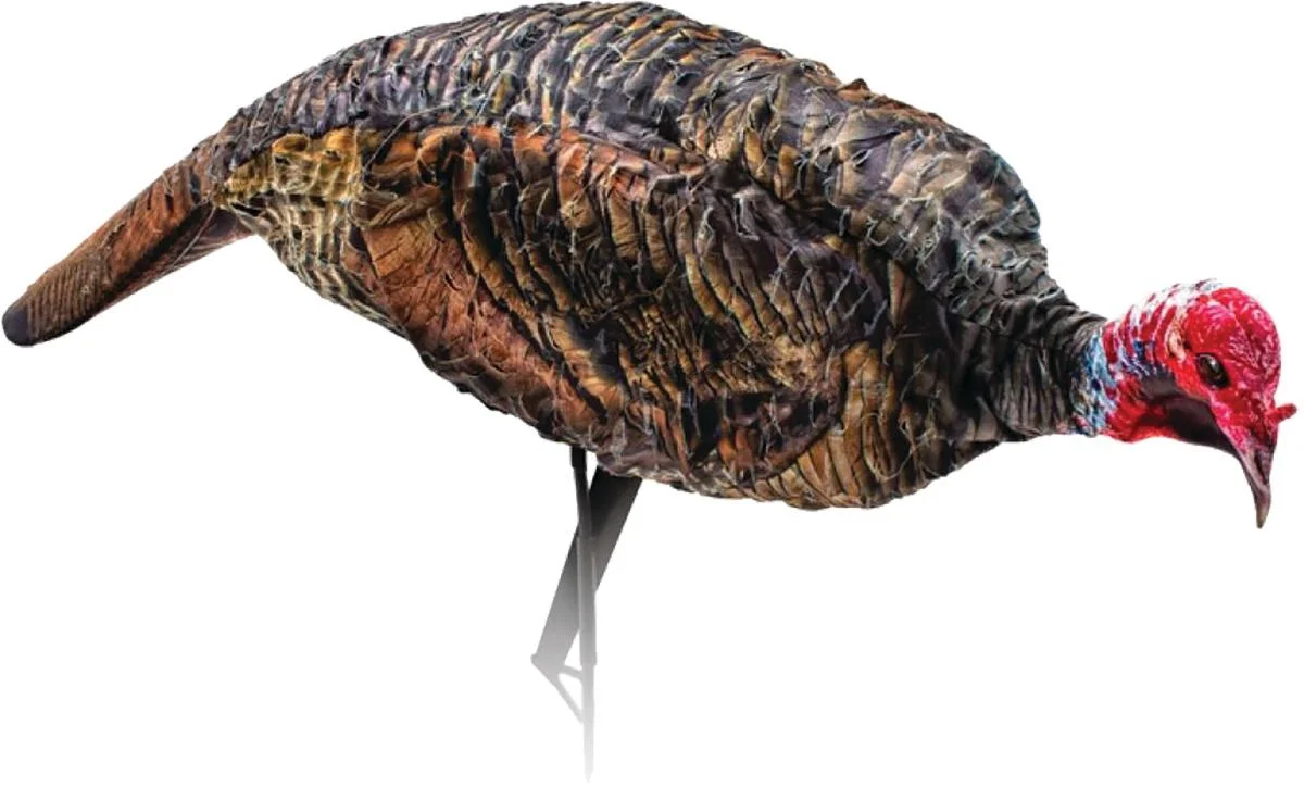 Turkey Decoys