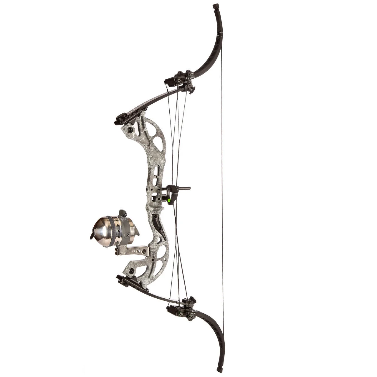Bowfishing