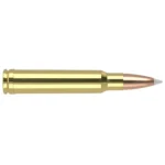Nosler Bullets Inc. Nosler Accubond Trophy Grade Rifle Ammunition .338 Win Mag 250 gr PT 2650 fps 20/ct