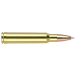 Nosler Bullets Inc. Nosler Accubond Trophy Grade Rifle Ammunition .338 Win Mag 225 gr PT 2750 fps 20/ct