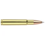 Nosler Bullets Inc. Nosler Accubond Trophy Grade Rifle Ammunition .35 Whelen 225 gr PT 2700 fps 20/ct