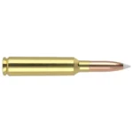 Nosler Bullets Inc. Nosler Accubond Trophy Grade Rifle Ammunition 6.5-284 Norma 140 gr PT 2750 fps 20/ct