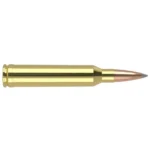 Nosler Bullets Inc. Nosler Accubond Long Range Trophy Grade Rifle Ammunition 7mm Rem Mag 168 gr PT 2880 fps 20/ct