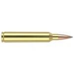 Nosler Bullets Inc. Nosler Accubond Long Range Trophy Grade Rifle Ammunition 7mm Rum 175 gr PT 3040 fps 20/ct