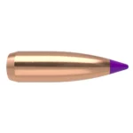 Nosler Bullets Inc. Nosler Ballistic Tip Varmint Bullets 6mm .243" 70 gr SBT-SB 250/ct