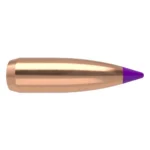Nosler Bullets Inc. Nosler Ballistic Tip Varmint Bullets 6mm .243" 70 gr SBT-SB 100/ct