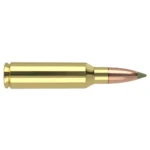 Nosler Bullets Inc. Nosler E-Tip Rifle Ammunition .300 WSM 180 gr ET 2900 fps 20/ct