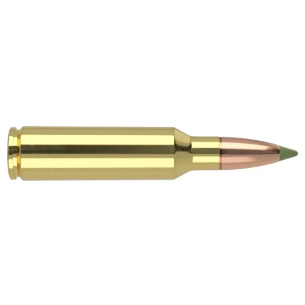 Nosler Bullets Inc. Nosler E-Tip Rifle Ammunition .300 WSM 180 gr ET 2900 fps 20/ct