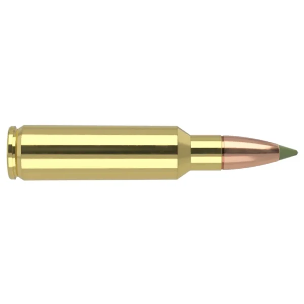 Nosler Bullets Inc. Nosler E-Tip Rifle Ammunition 325 WSM 180 gr ET 3050 fps 20/ct