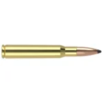 Nosler Bullets Inc. Nosler Partition Trophy Grade Rifle Ammunition .30-06 SPRG 165 gr PSP 2950 fps 20/ct