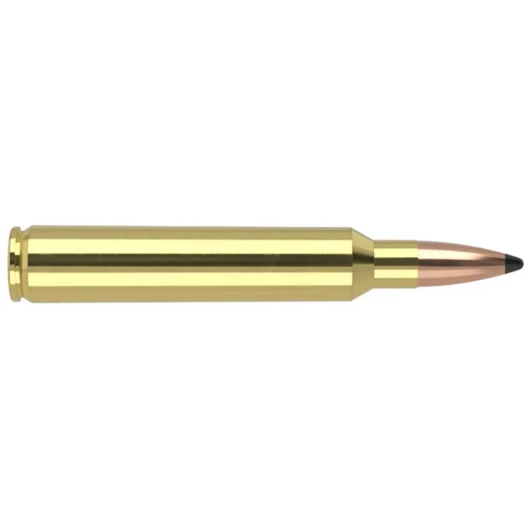 Nosler Bullets Inc. Nosler Partition Trophy Grade Rifle Ammunition .300 RUM 165 gr PSP 3350 fps 20/ct