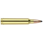 Nosler Bullets Inc. Nosler Partition Trophy Grade Rifle Ammunition .300 Win Mag 200 gr PSP 2750 fps 20/ct