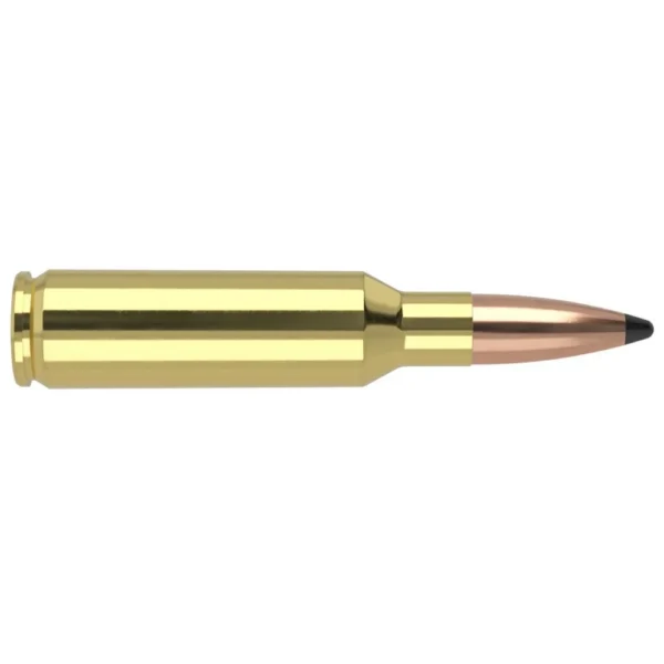 Nosler Bullets Inc. Nosler Partition Trophy Grade Rifle Ammunition .300 SAUM 165 gr PSP 3025 fps 20/ct